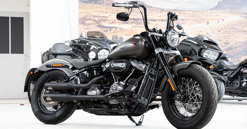  | Softail Slim FLS